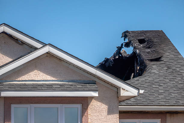 Top rated local Odor Removal specialists in Spring City, PA